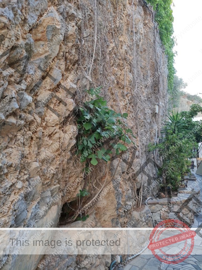 Καλώς ήρθατε στο Certain.gr